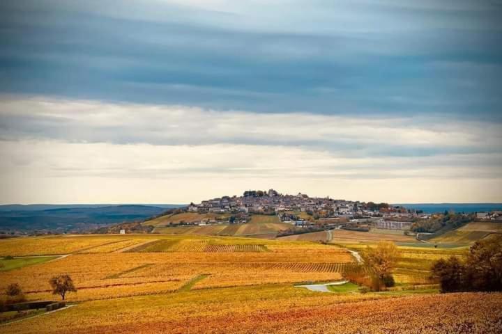 Gite Entre Vignes Et Loire Thauvenay Exterior foto